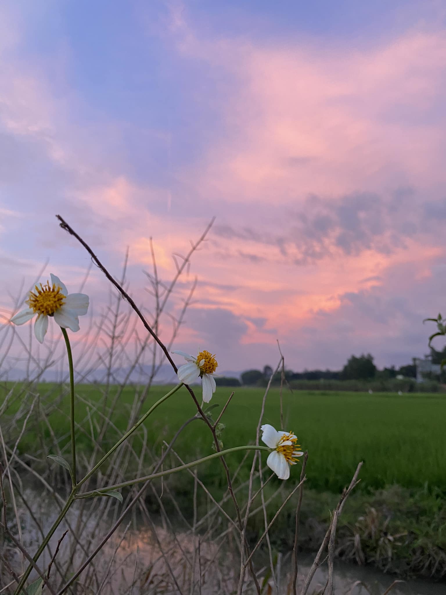 Người tốt